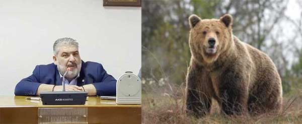 Επιστολή του Δημάρχου Εορδαίας για τα περιστατικά προσέγγισης αρκούδας σε κατοικημένες περιοχές