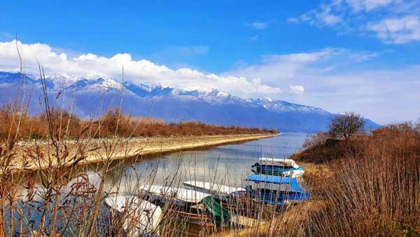 Κοζάνη:Το ηλιόψαρο ως ξενικό είδος απειλεί τα ενδημικά είδη των ελληνικών λιμνών