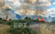 Καστοριά: Πυρκαγιά σε φωτοβολταϊκό πάρκο έξω από το χωριό Μεσοποταμία (βίντεο)